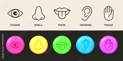 Sense icons. Five sensory organs in minimal line style. Perception symbols. Human hand and tongue symbolizing touch. Eye vision. Smelling nose. Mouth and ear. Vector anatomy pictograms set
