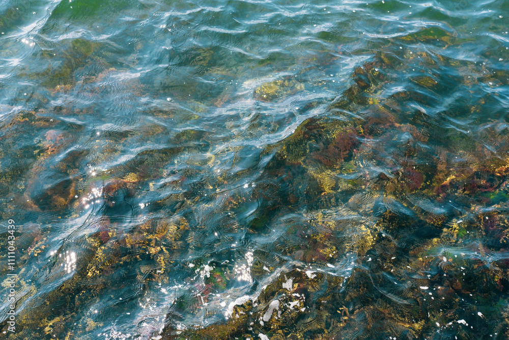 Fototapeta premium transparent waves through which stones are visible. Sea