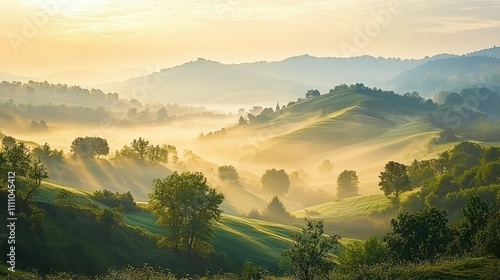 Wallpaper Mural Breathtaking Misty Landscape with Rolling Hills and Sunlight Breaking Through Foggy Valley at Dawn, Capturing the Essence of Tranquility and Nature's Beauty Torontodigital.ca