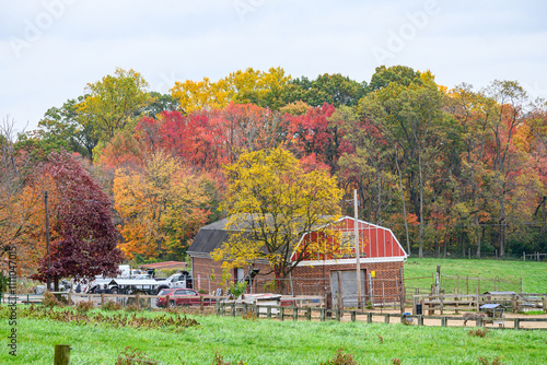 Wissahicken Valley Park during the Fall of 2023 photo