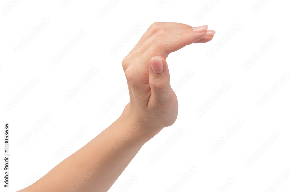 Woman hands with nude manicure isolated on a white background. Woman hands with nude manicure isolated on a white background.