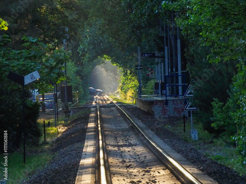 Sunlit Railway Tracks Through Forest Tunnel Leading to a Small Station