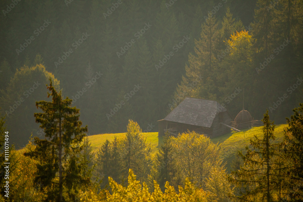 Bucegi Mountains - Romania