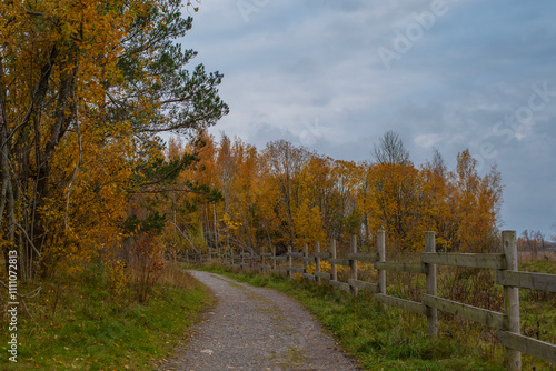 A narrow gravel path winds through the scene, bordered by wooden fencing on the right and a mix of grass and sparse vegetation on the left. Autumn landscape at Paljassaare Peninsula, Tallinn, Estonia. photo