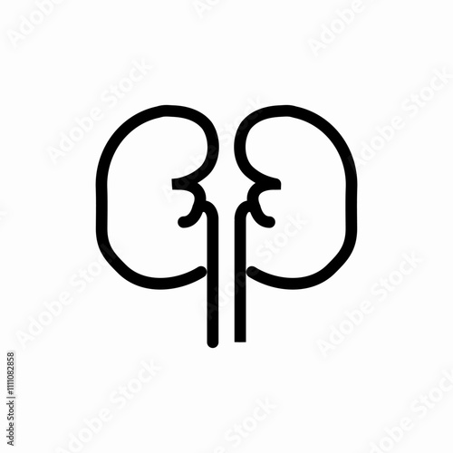 kidney organ icon sign vector