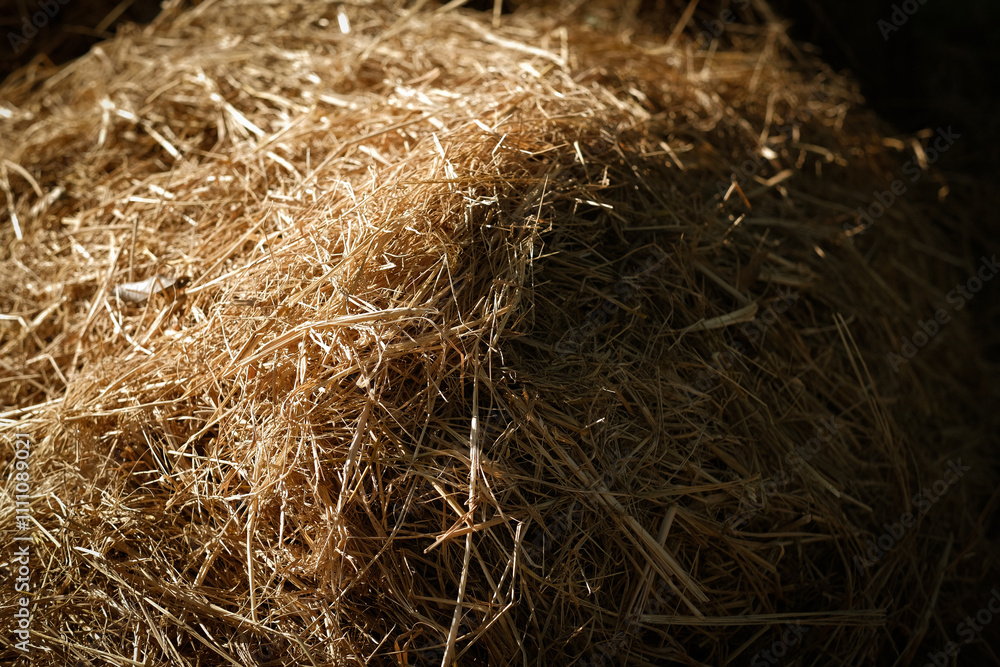 Close-up of dry straw pile in natural light. Close-up of dry straw pile in natural light.
