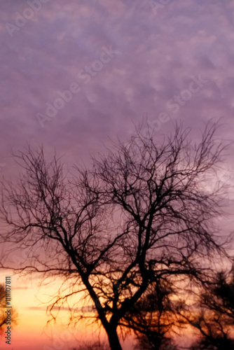 Dramatical sky in the evening time 