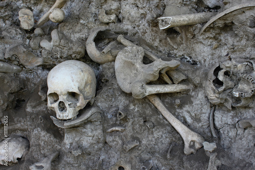 Skull bones with mass grave. Genocide theme.