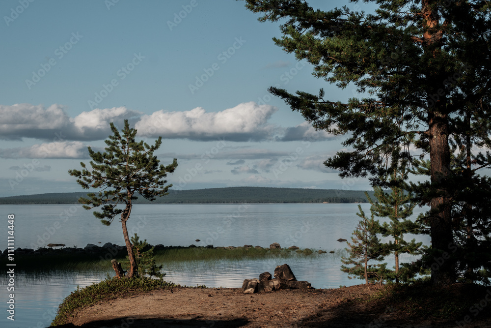 Silhouette of a pine trees against the background of the lake water surface Silhouette of a pine trees against the background of the lake water surface
