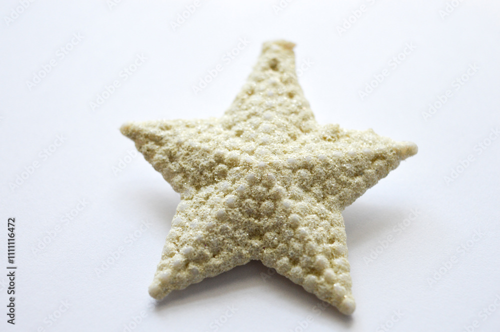 close-up starfish with a textured surface natural minimalistic aesthetic beach decor vacation travel eco-friendly ocean-friendly items holiday season christmas new year advertisements background close-up starfish with a textured surface natural minimalistic aesthetic beach decor vacation travel eco-friendly ocean-friendly items holiday season christmas new year advertisements background