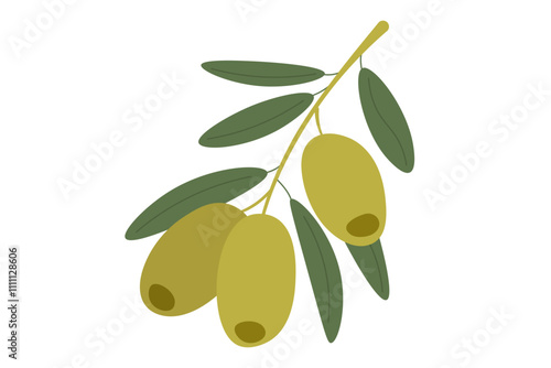 Olives on a branch in flat style