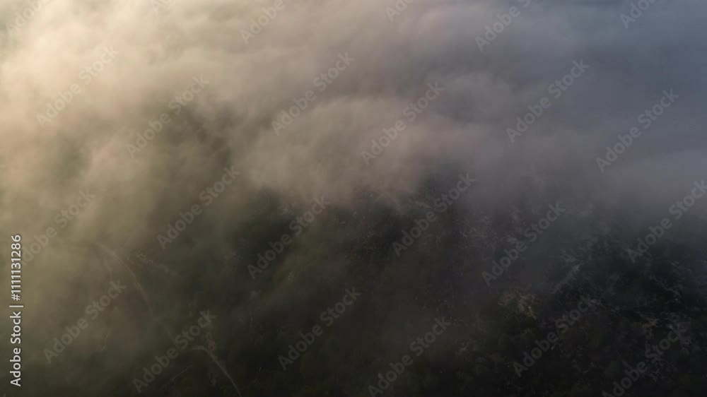 Aerial of Pine Forest Veiled by Low Hanging Cloud 4k Drone. Aerial of Pine Forest Veiled by Low Hanging Cloud 4k Drone.