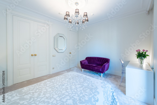 Closed White Wooden Door and Luxurious Master Home Bedroom Interior, Modern House, BeautifuI interior, King Size Bed. Purple Couch. Luxury Lamp and Mirror. Flowers on the Table photo