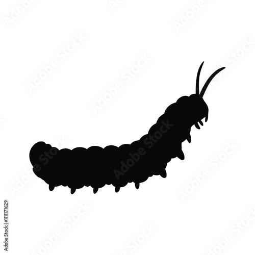 A black and white drawing of a large, long, and skinny caterpillar. The caterpillar is curled up and has a long, thin body