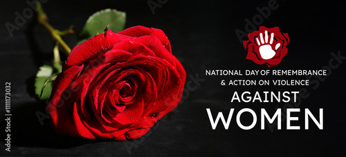Beautiful red rose on black...