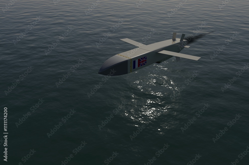 3D cruise missile storm-shadow 3D cruise missile storm-shadow