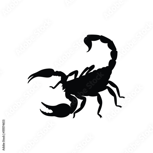 A black scorpion with a long tail. The tail is curled up. The scorpion is on a white background