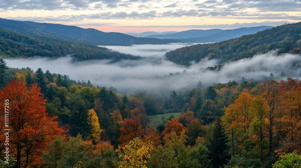 Obraz premium Autumnal Forest Landscape with Misty Valley and Distant Mountains