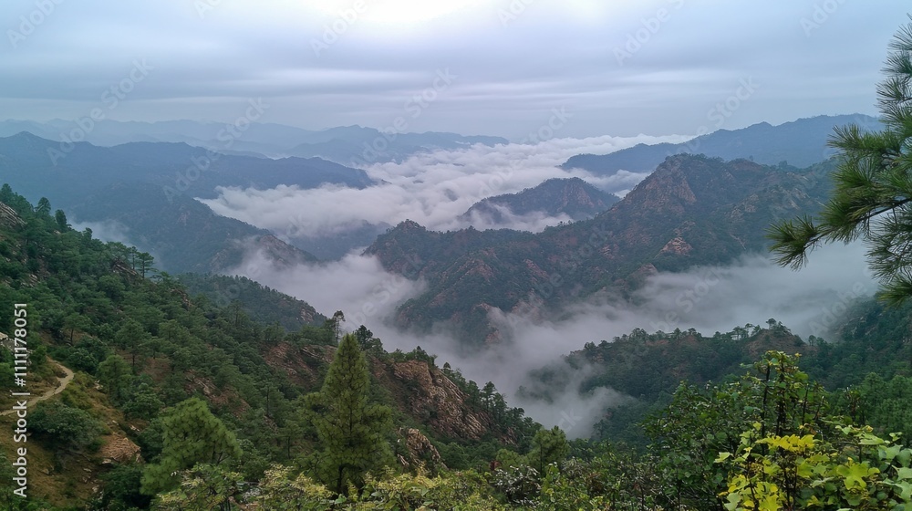A Misty Mountain Landscape with Rolling Hills and Lush Vegetation A Misty Mountain Landscape with Rolling Hills and Lush Vegetation