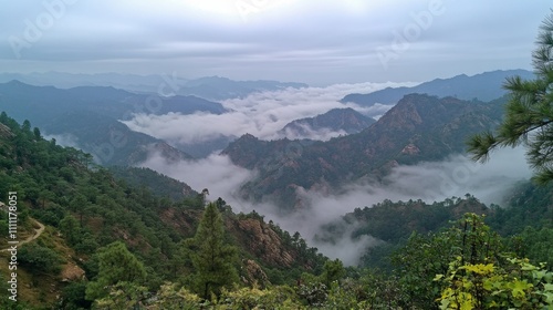 A Misty Mountain Landscape with Rolling Hills and Lush Vegetation