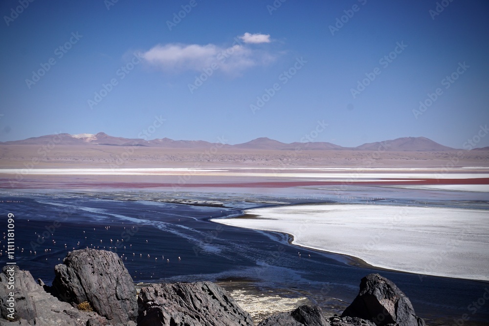Obraz premium scenic salt and algae lake in Peru