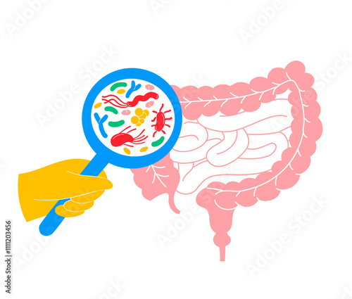 Illustration of Probiotics and Gut Microbiome - Gut Health Support