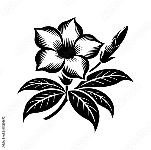 jasmine flower engraving black and white outline