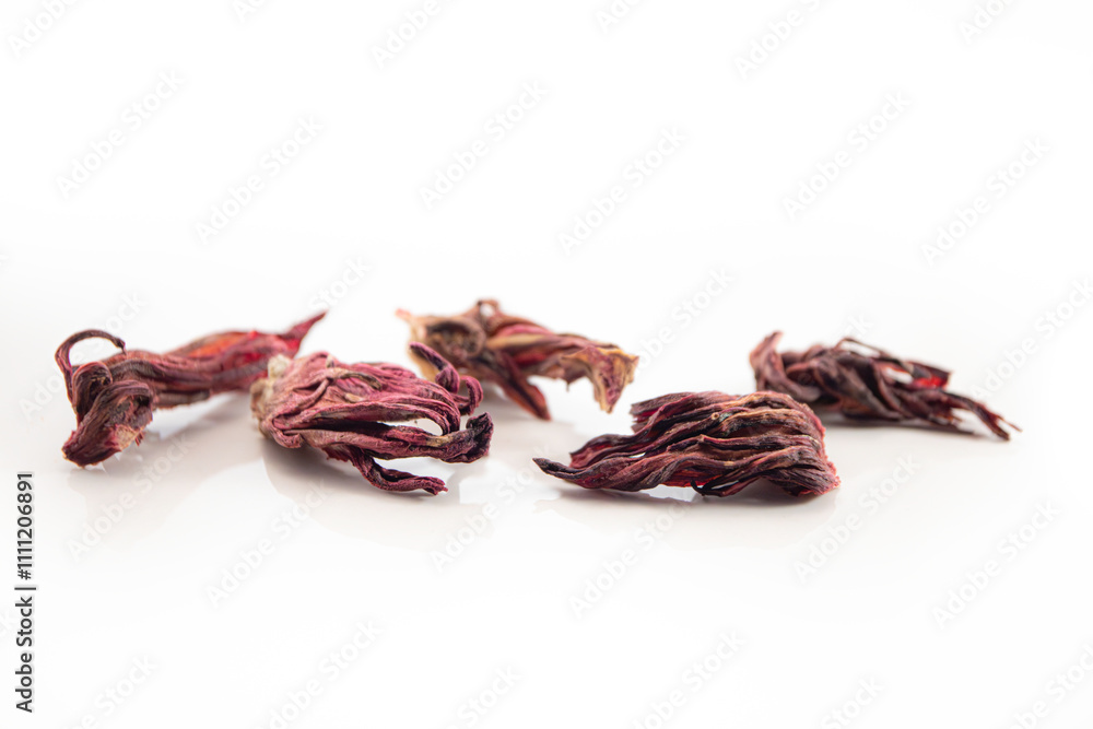 Hibiscus Hibiscus