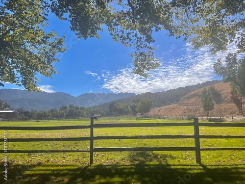 landscape with a fence & horses grazing in the distance photo