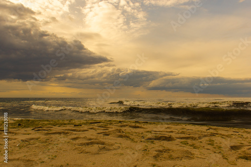 Plaża. Mierzeja Wiślana. Piaski.