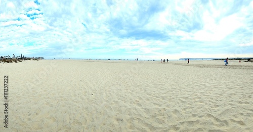 Beautiful sandy beach in California