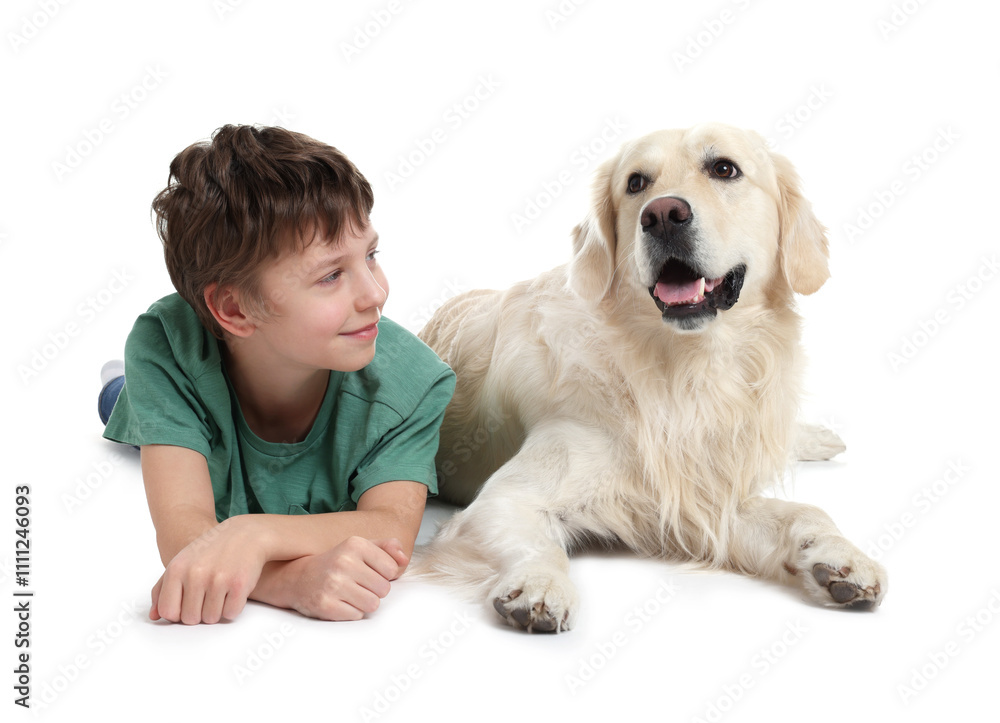 Boy with his cute dog on white background Boy with his cute dog on white background