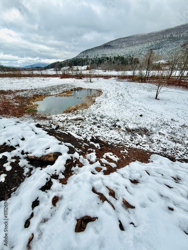 Outdoor winter wonderland in Catskill Mountains. White fresh snow blanket backdrop with frozen water. Gorgeous cold weather scene during November snowstorm. Hike, ski, sled, tube.  Enjoy nature! photo