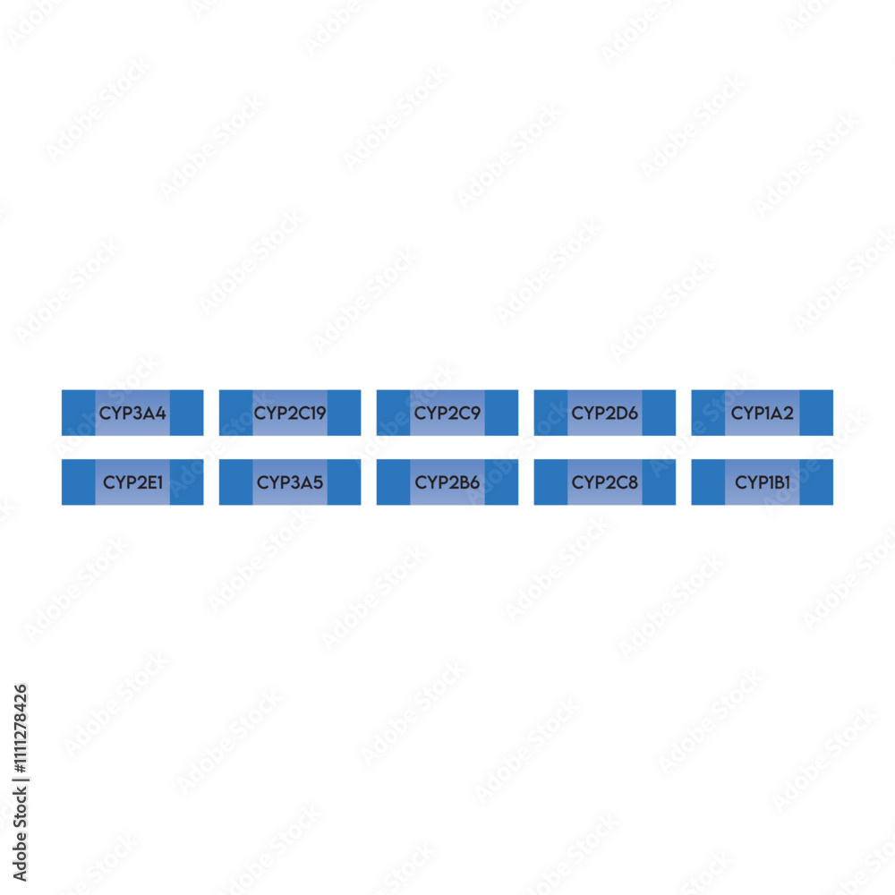 Set of 10 simple icons - Cytochrome P450 enzyme icons - CYP3A4, 2D6, 2C9 and more. Simple design illustration. Set of 10 simple icons - Cytochrome P450 enzyme icons - CYP3A4, 2D6, 2C9 and more. Simple design illustration.