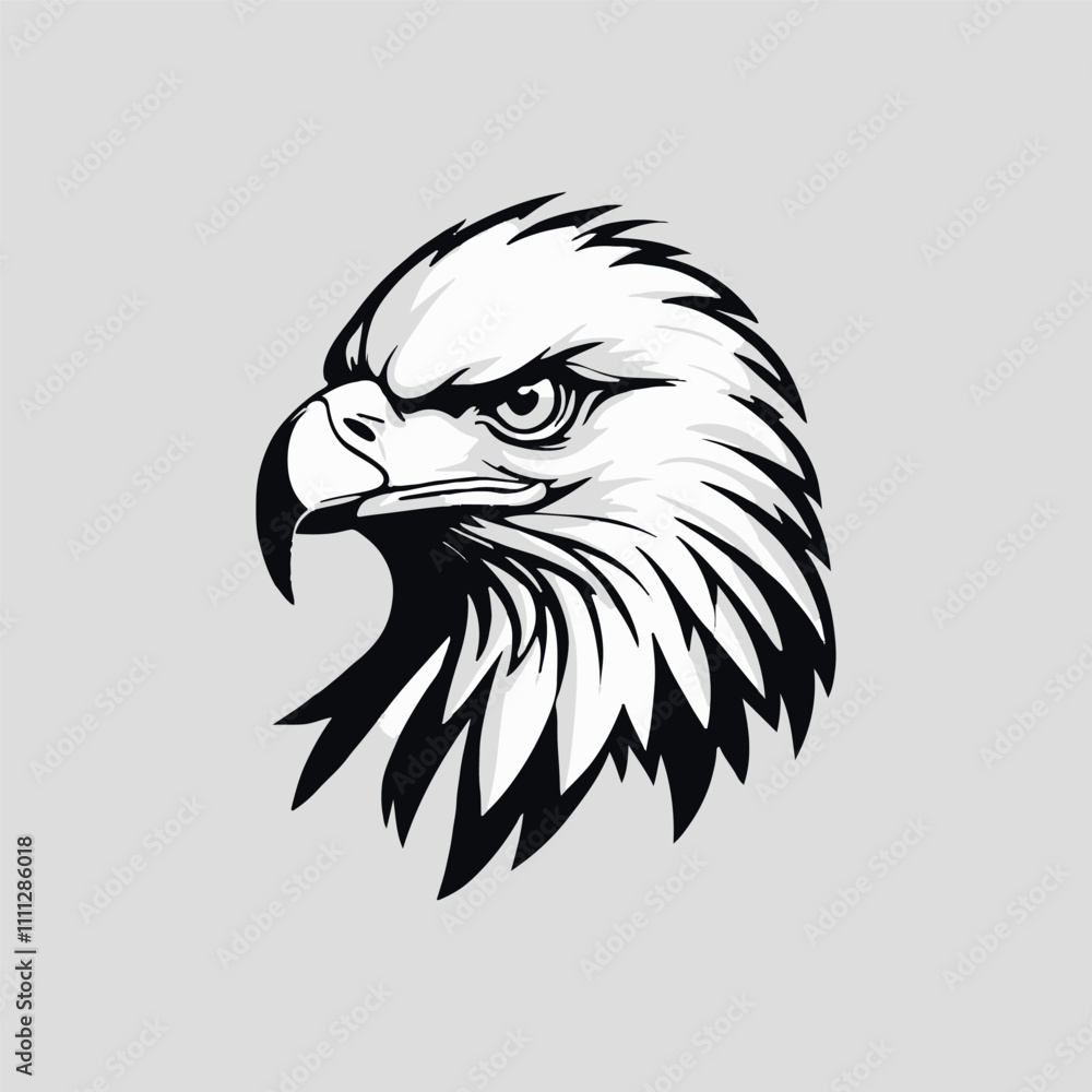 Fototapeta premium american bald eagle