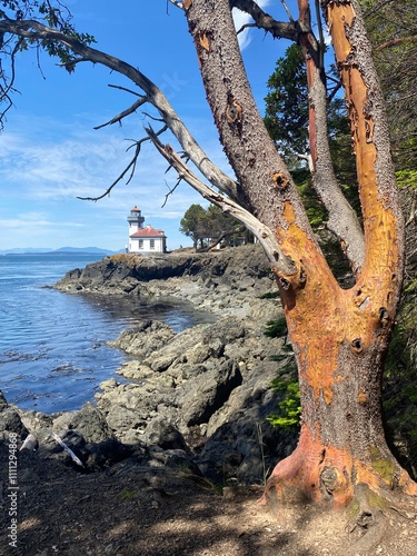 Lighthouse at Lime Kiln State Park photo