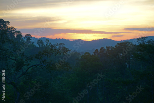 green forest with beautiful sky background