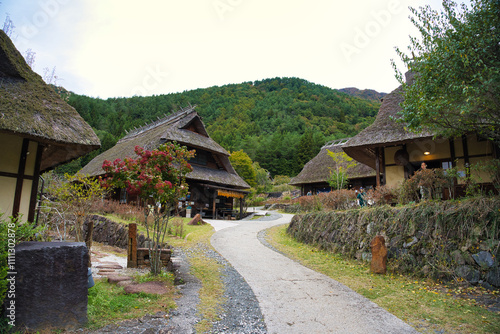 西湖いやしの里 根場 Saiko Iyashi-no-Sato Nenba, Mt. Fuji