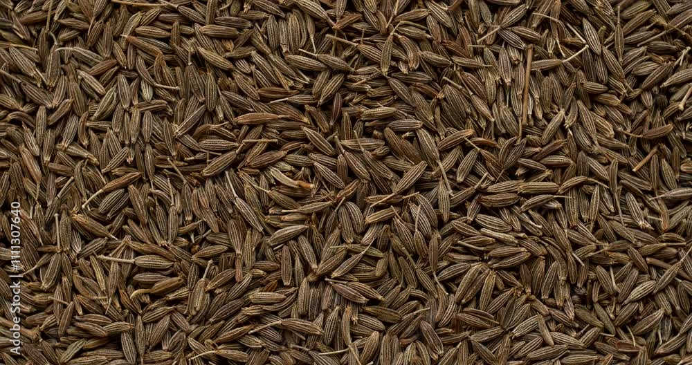 Whole cumin (Cuminum cyminum) seeds as background texture. Table spin. Whole cumin (Cuminum cyminum) seeds as background texture. Table spin.