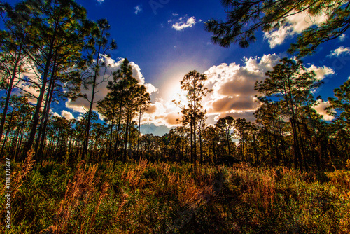 Oxbow Eco-Center and Preserve, Port St. Lucie, Florida photo