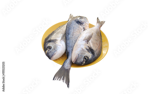 Three raw dorada or gilt-head bream fishes on the yellow plate isolated transparent png photo