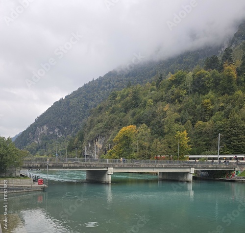 Wallpaper Mural 바다,유럽전경,하늘 나무 Torontodigital.ca