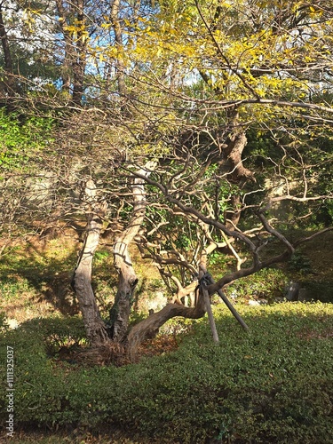 바다,유럽전경,하늘 나무
