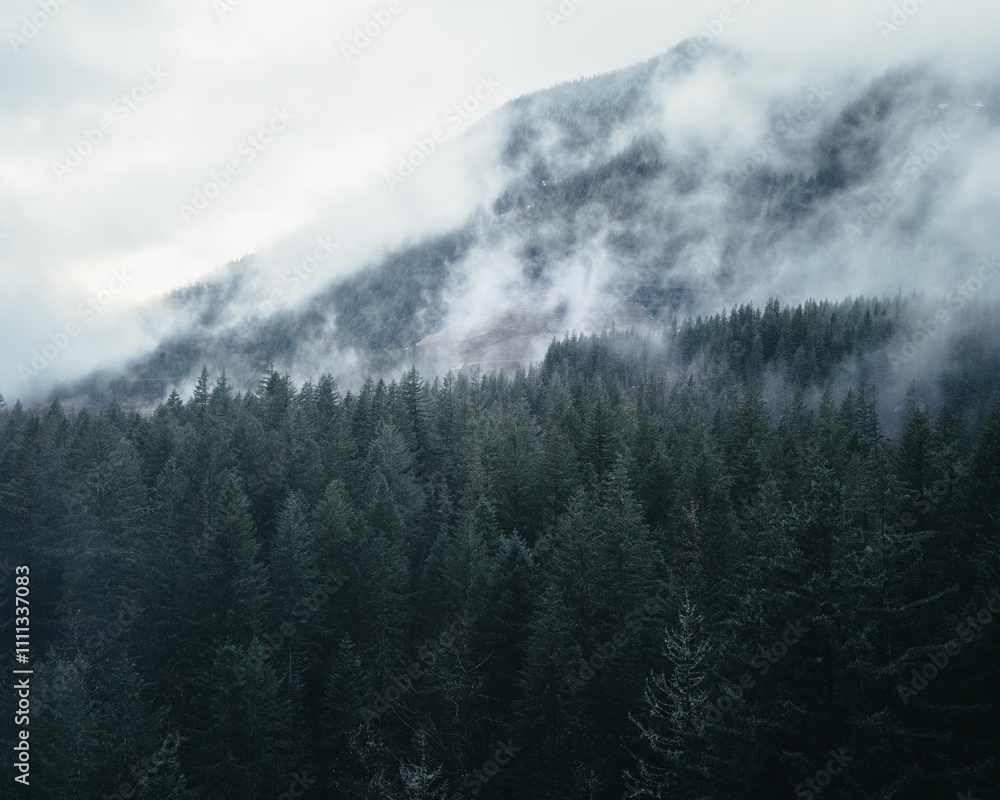 Fototapeta premium Whimsical Clouds Dance Around Mount Hood