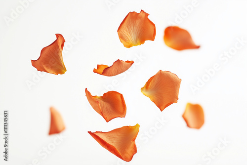 copper-colored rose pedals falling in the air white background