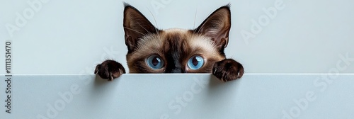 A curious cat peeks over a surface, showcasing its striking blue eyes and playful demeanor. photo