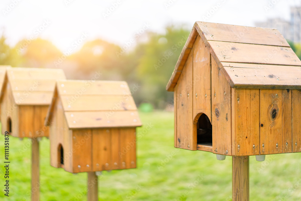 Charming Wooden Birdhouses Nestled in a Lush Green Park Charming Wooden Birdhouses Nestled in a Lush Green Park