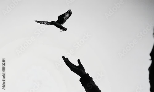 Silhouette of Hand Releasing Bird: A poignant monochrome image depicting a hand gently releasing a bird into the sky, symbolizing freedom, hope, and new beginnings.