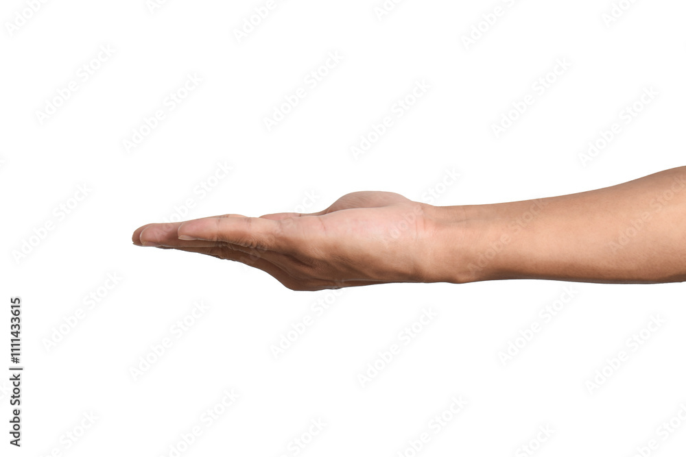 Close up of a hand holding something isolated on a white background with clipping path. Close up of a hand holding something isolated on a white background with clipping path.