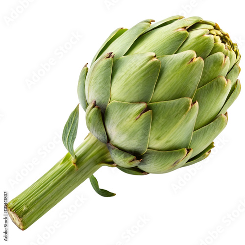 Single artichoke isolated on a transparent background